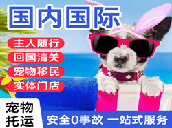 天水麦积山机场快运国际宠物托运 【国